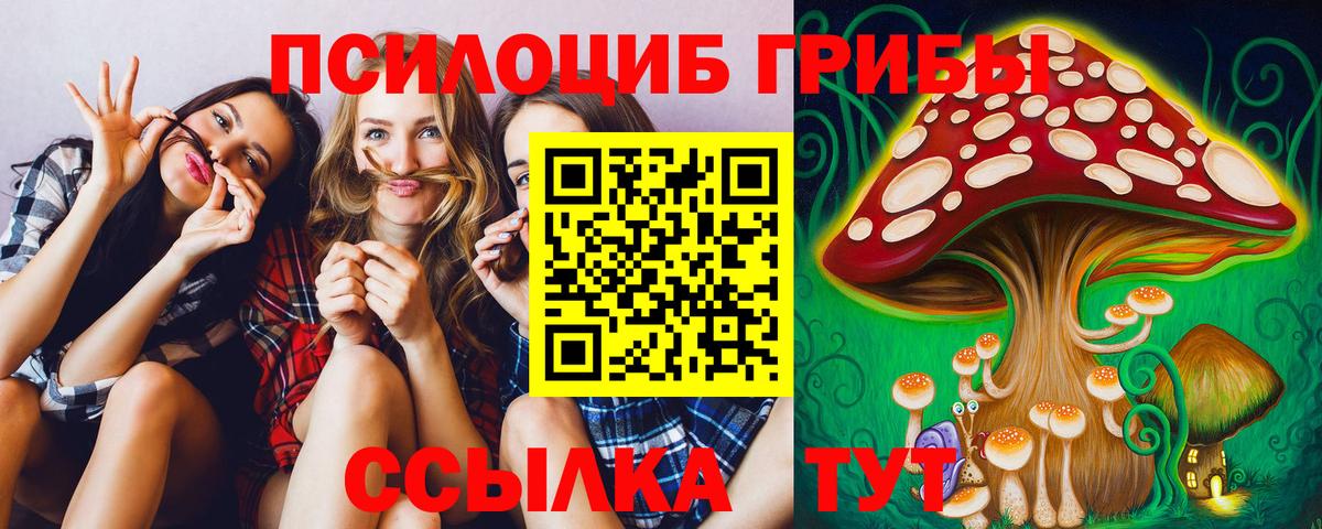 Псилоцибиновые грибы MAGIC MUSHROOMS Боровичи