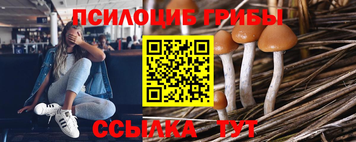 Галлюциногенные грибы ЛСД  что такое наркотик  Псилоцибиновые грибы Cubensis  Боровичи  Вход с VPN 